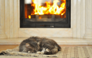 gas fireplace service